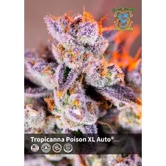 Tropicanna Poison XL Auto, Фасовка: 3+1