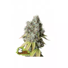 Bruce Banner Auto, Фасовка: 5