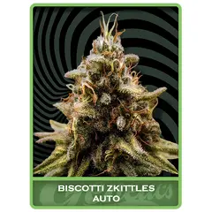 Biscotti Zkittles Auto, Фасовка: 3