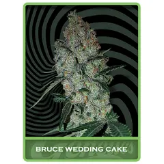 Bruce Wedding Cake, Фасовка: 3