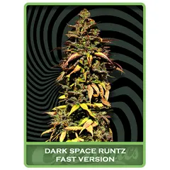 Dark Space Runtz Fast, Фасовка: 10