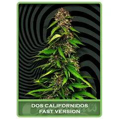 Dos Californidos Fast, Фасовка: 10