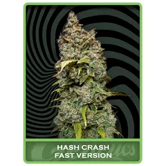 Hash Crash Fast, Фасовка: 1