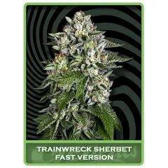 Trainwreck Sherbet Fast, Фасовка: 1