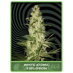 White Atomic Explosion, Фасовка: 3