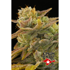 Gorilla bud Auto, Фасовка: 10