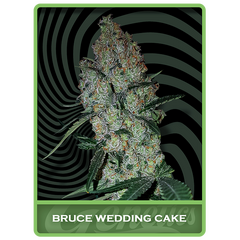 Bruce Wedding Cake, Фасовка: 3