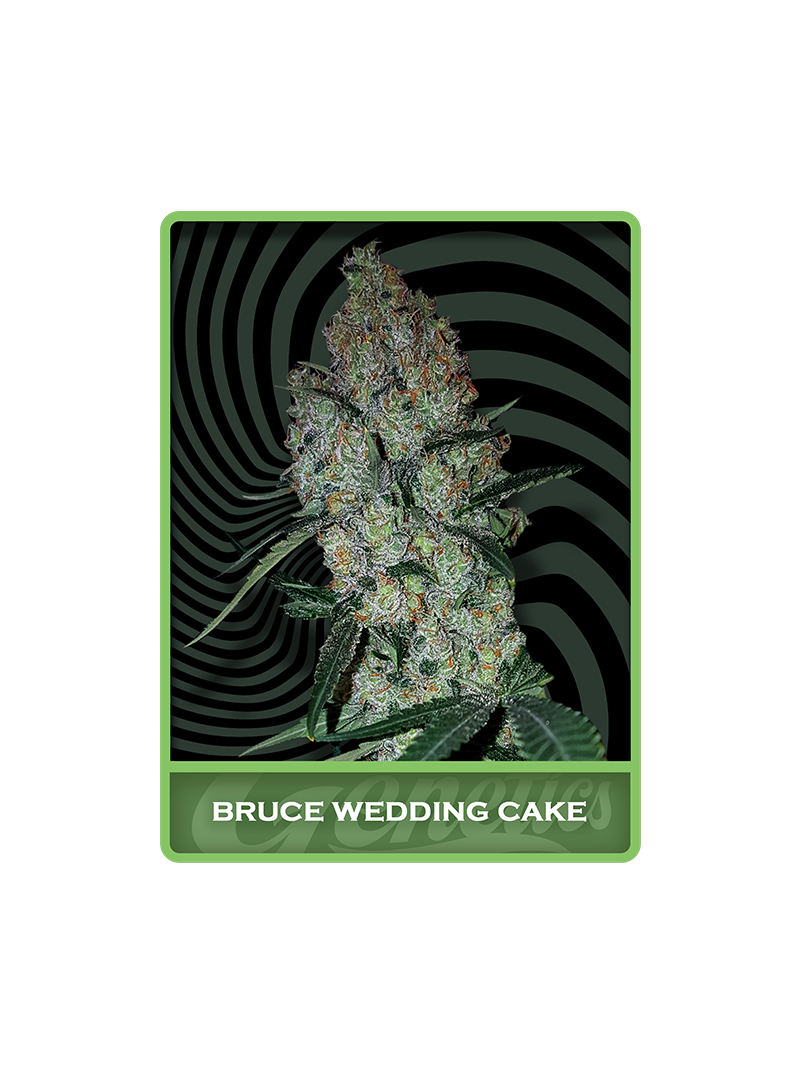 Bruce Wedding Cake, Фасовка: 3