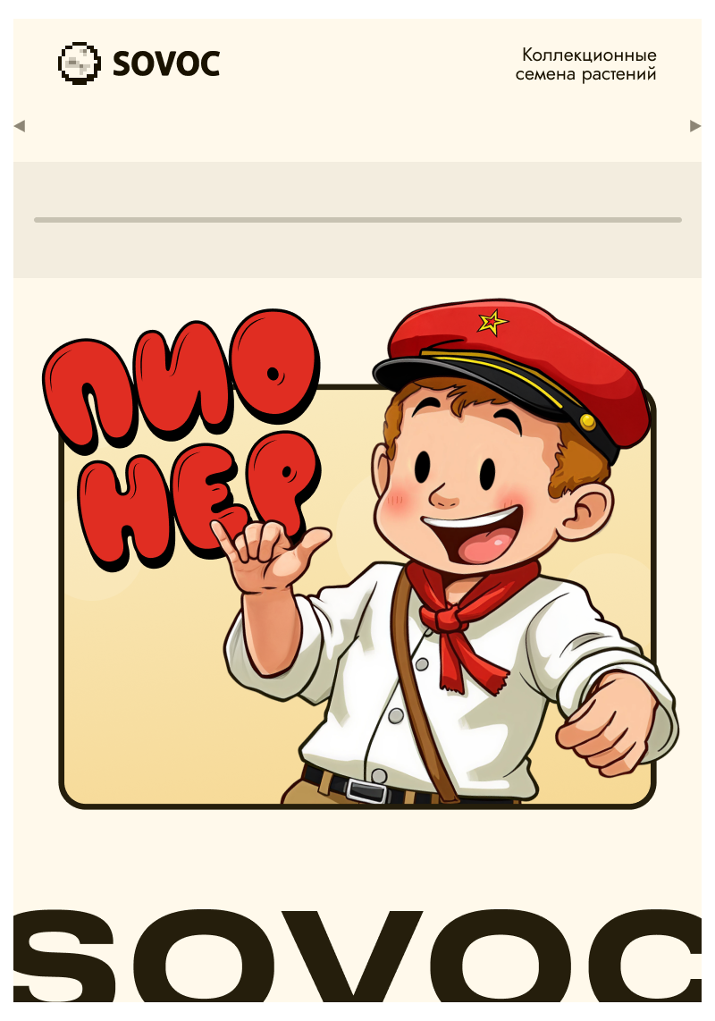 Пионер Экспресс, Фасовка: 3