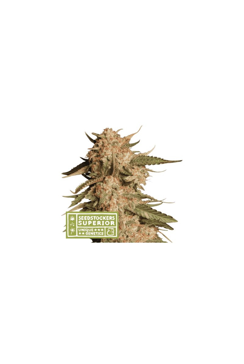 Blue Moby Auto, Фасовка: 3